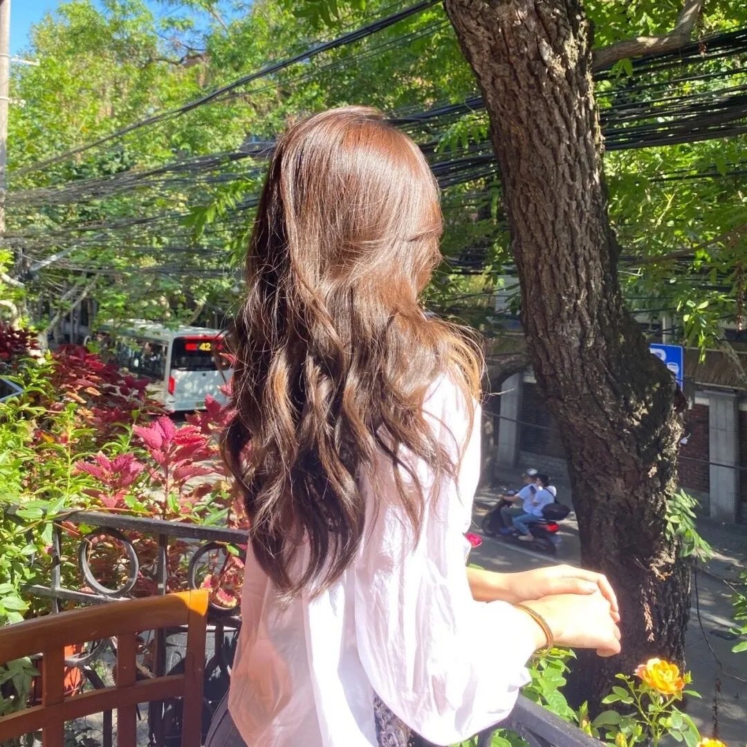 良言难改执拗心